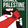 Israel-Palestine A Revolutionary Way Forward