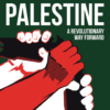 Israel-Palestine A Revolutionary Way Forward