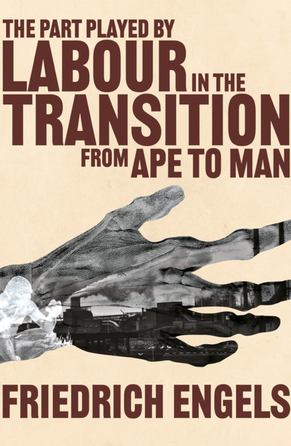 The Part Played by Labour in the Transition from Ape to Man