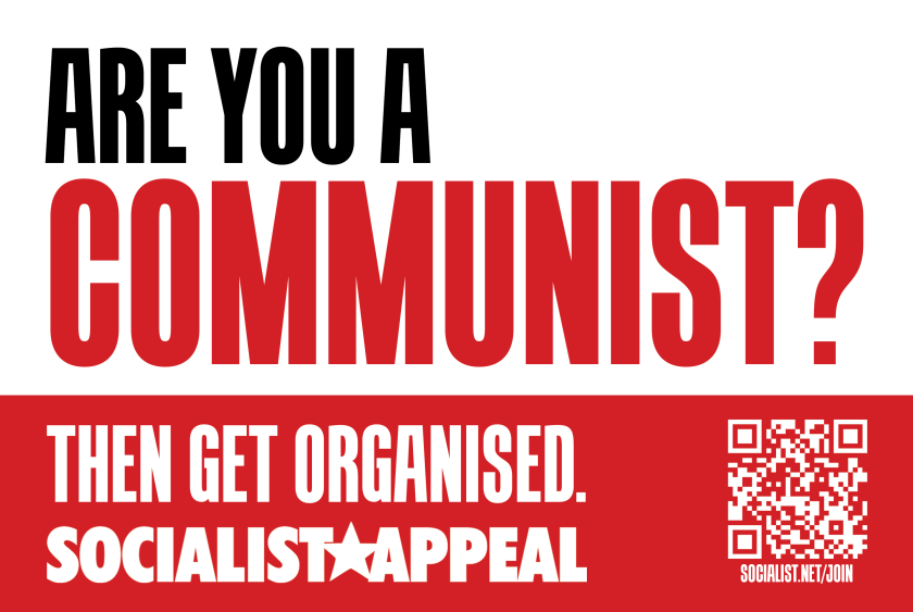 Are you a Communist? stickers - Wellred Books